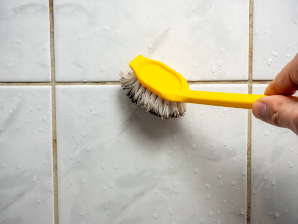 Best Office Mold Removal Services  in Manche North Shore, CA
