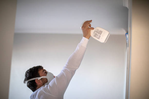 Home Mold Removal in Camanche North Shore, CA
