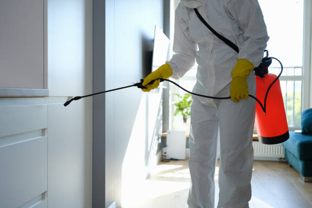 Best Emergency Mold Removal  in Manche North Shore, CA