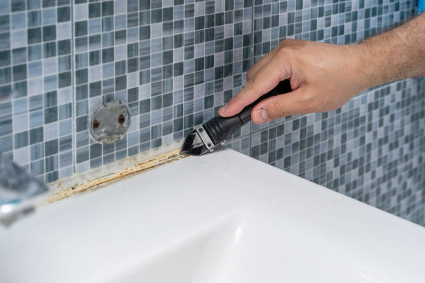 Best Mold Remediation  in Manche North Shore, CA