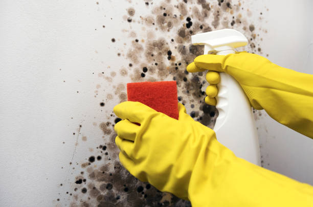 Water Damage Restoration in Camanche North Shore, CA